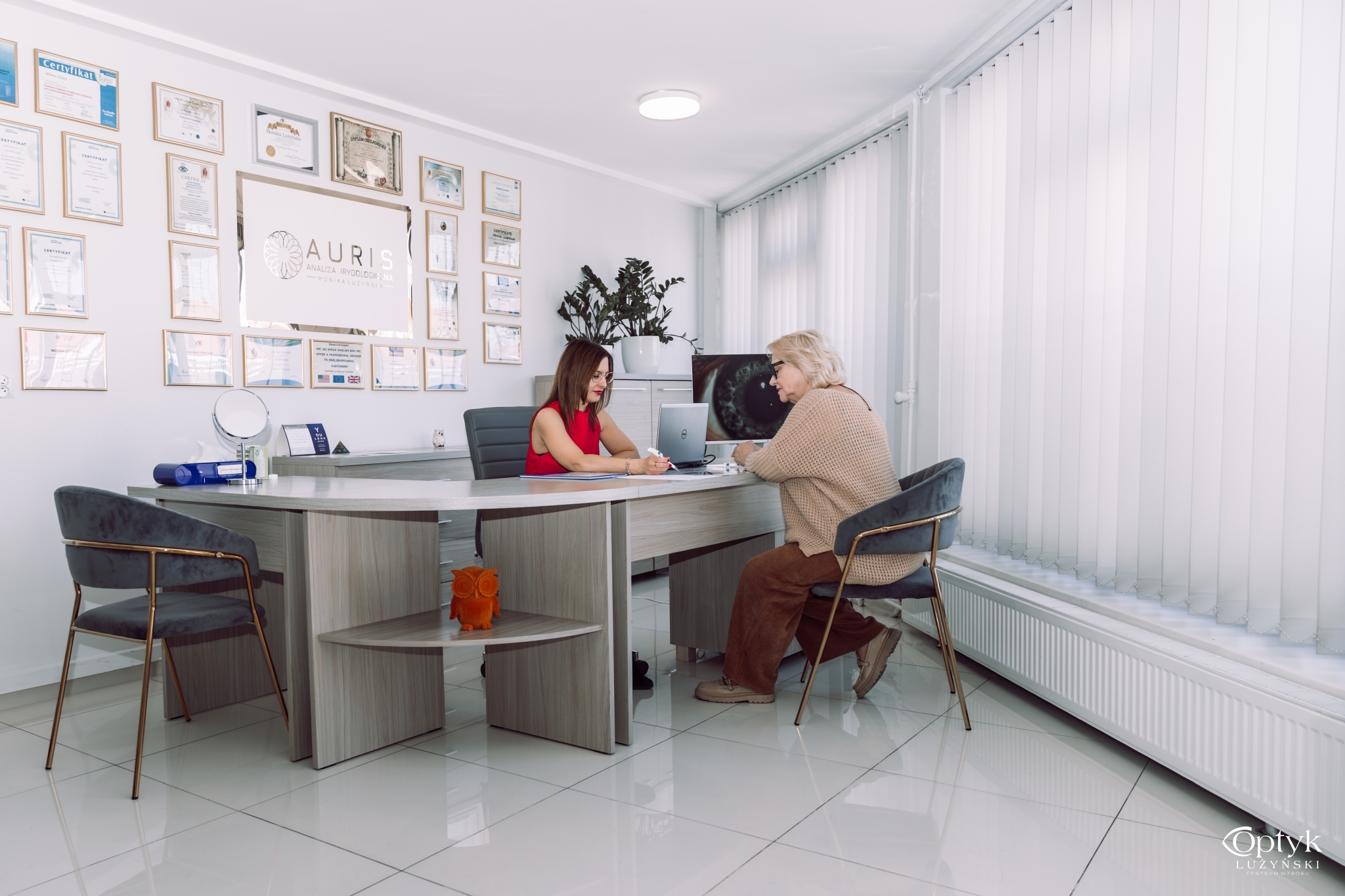 Zdjęcie tęczówki oka — diagnostyka irydologiczna